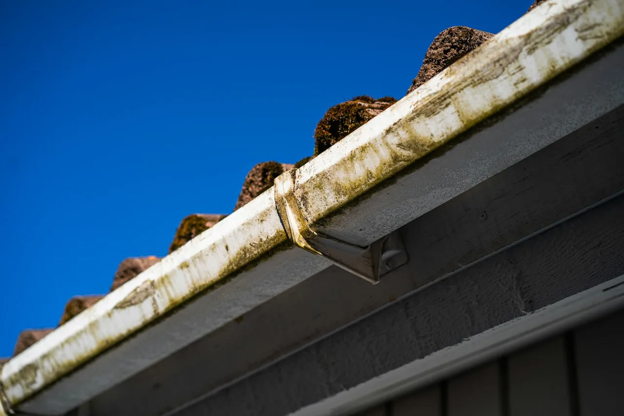 A roof gutter packed with leaf debris against a blue sky