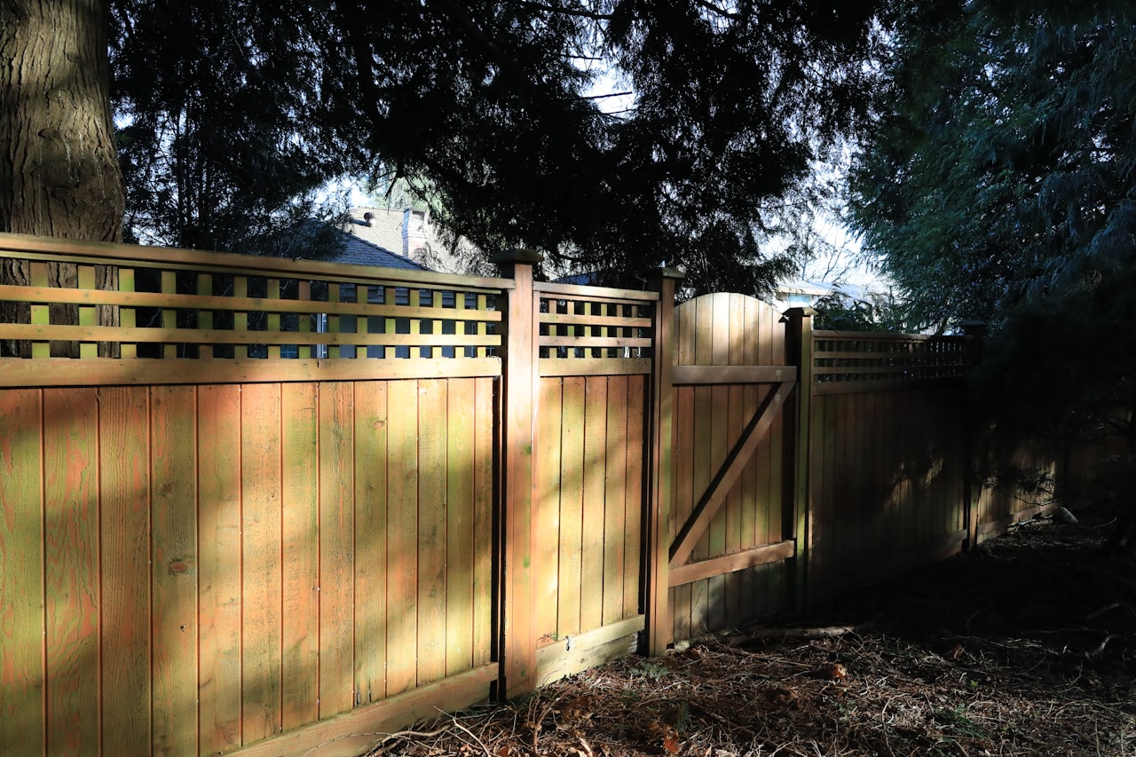 A wooden privacy fence and gate in dappled afternoon light